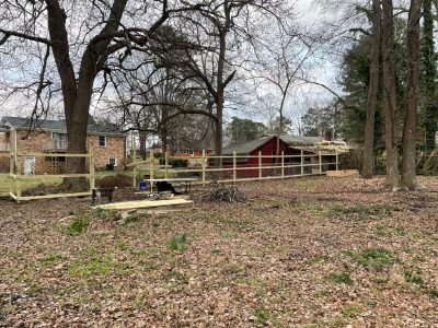 Exterior privacy fence
